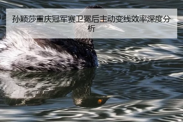 孙颖莎重庆冠军赛卫冕后主动变线效率深度分析